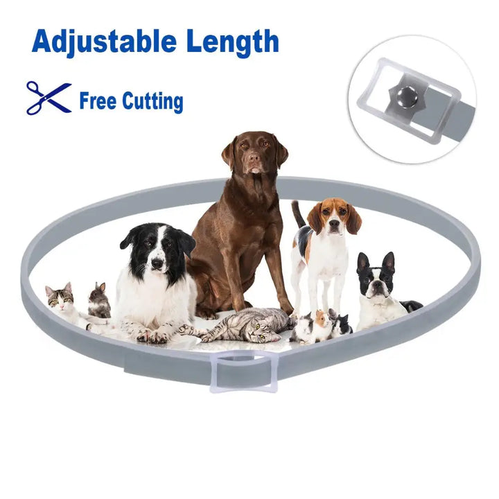 Professional 8 Month Protection Flea & Tick Collar Anti-Mosquito Silicone Dog Collar Universal Wear Resistant Cat Necklace Corgi