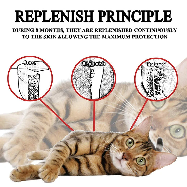 Professional 8 Month Protection Flea & Tick Collar Anti-Mosquito Silicone Dog Collar Universal Wear Resistant Cat Necklace Corgi
