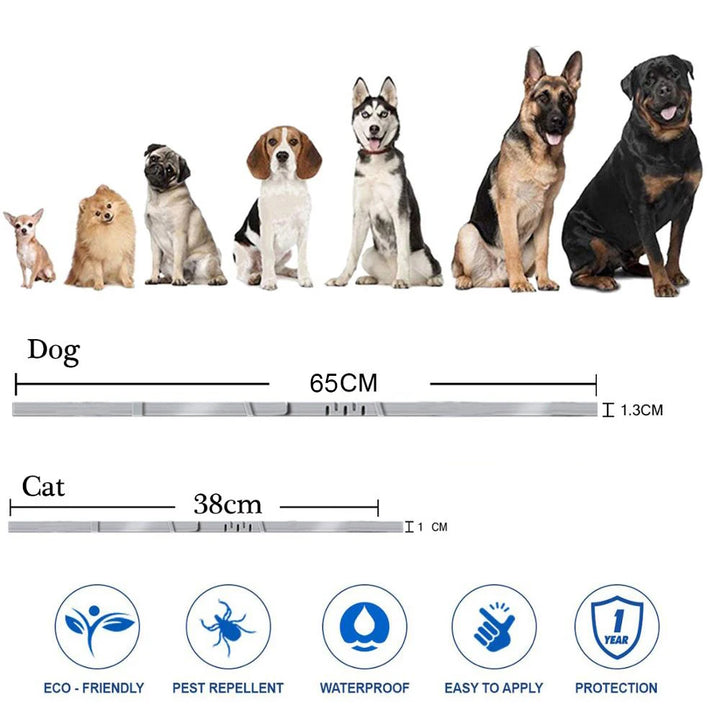 Professional 8 Month Protection Flea & Tick Collar Anti-Mosquito Silicone Dog Collar Universal Wear Resistant Cat Necklace Corgi