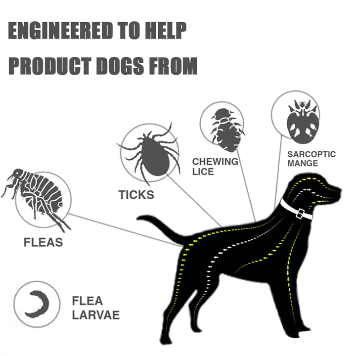 Professional 8 Month Protection Flea & Tick Collar Anti-Mosquito Silicone Dog Collar Universal Wear Resistant Cat Necklace Corgi